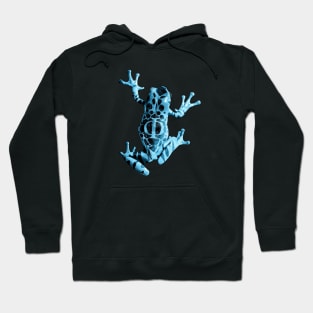 Phi Frog Hoodie